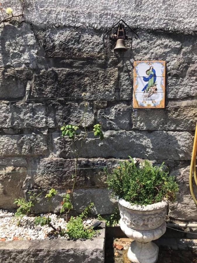 Casa Do Abeto Βίλα Carvalhosa Εξωτερικό φωτογραφία
