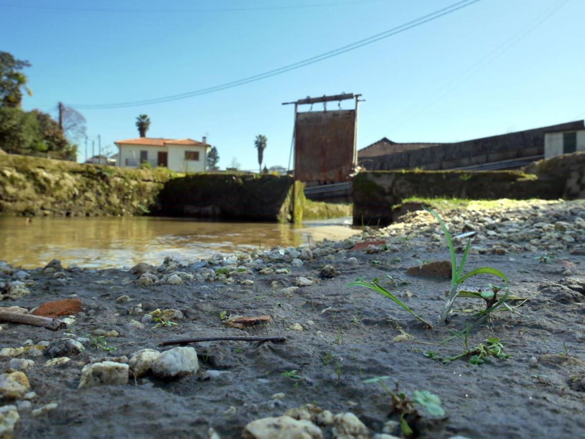 Casa Do Abeto Βίλα Carvalhosa Εξωτερικό φωτογραφία