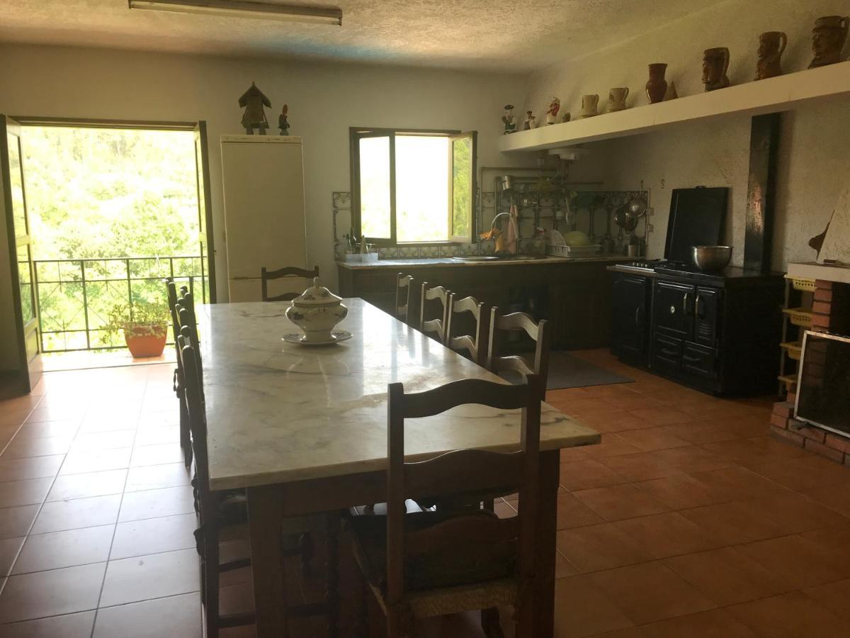 Casa Do Abeto Βίλα Carvalhosa Εξωτερικό φωτογραφία